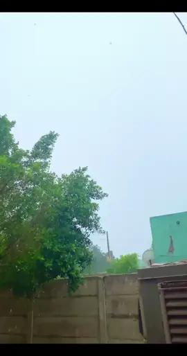 #جياد#السودان🇸🇩