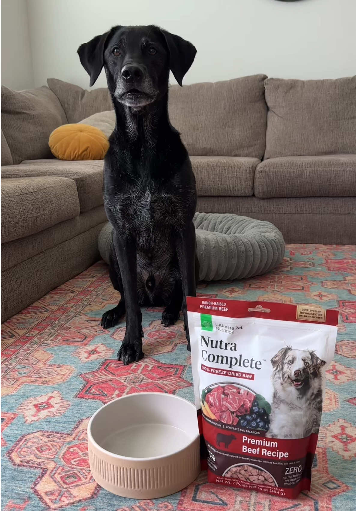 This isn’t just a bowl — it’s a nutritional upgrade. 🥩 | AD I love to build Riley’s meal around @Ultimate Pet Nutrition Nutra Complete, and here’s why: ✔️ 95% real, ranch-raised beef & organ meat ✔️ Freeze-dried raw for freshness + convenience ✔️ Vet-developed to support digestion, energy & a shiny coat Rabbit ear, quail egg and goat milk? Just an added bonus for the best boy! #UltimatepetNutrition #FreezeDriedRawFeedingMadeEasy #betterfoodbetterhealth #Sponsored