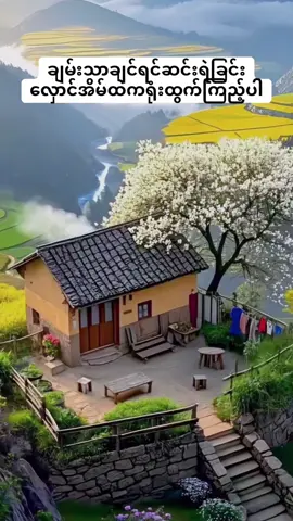 ညအိပ်ယာမဝင်ခင်းတရားလေးနာပြီးအသိတရားများတိုးပွားနိုင်ကြပါစေ🙏#တရားတော်များ🙏🙏🙏 #nyilinn #crdပေးပါတယ် 