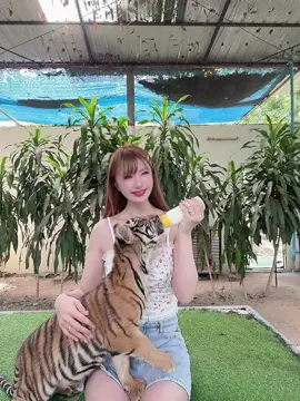#タイ 