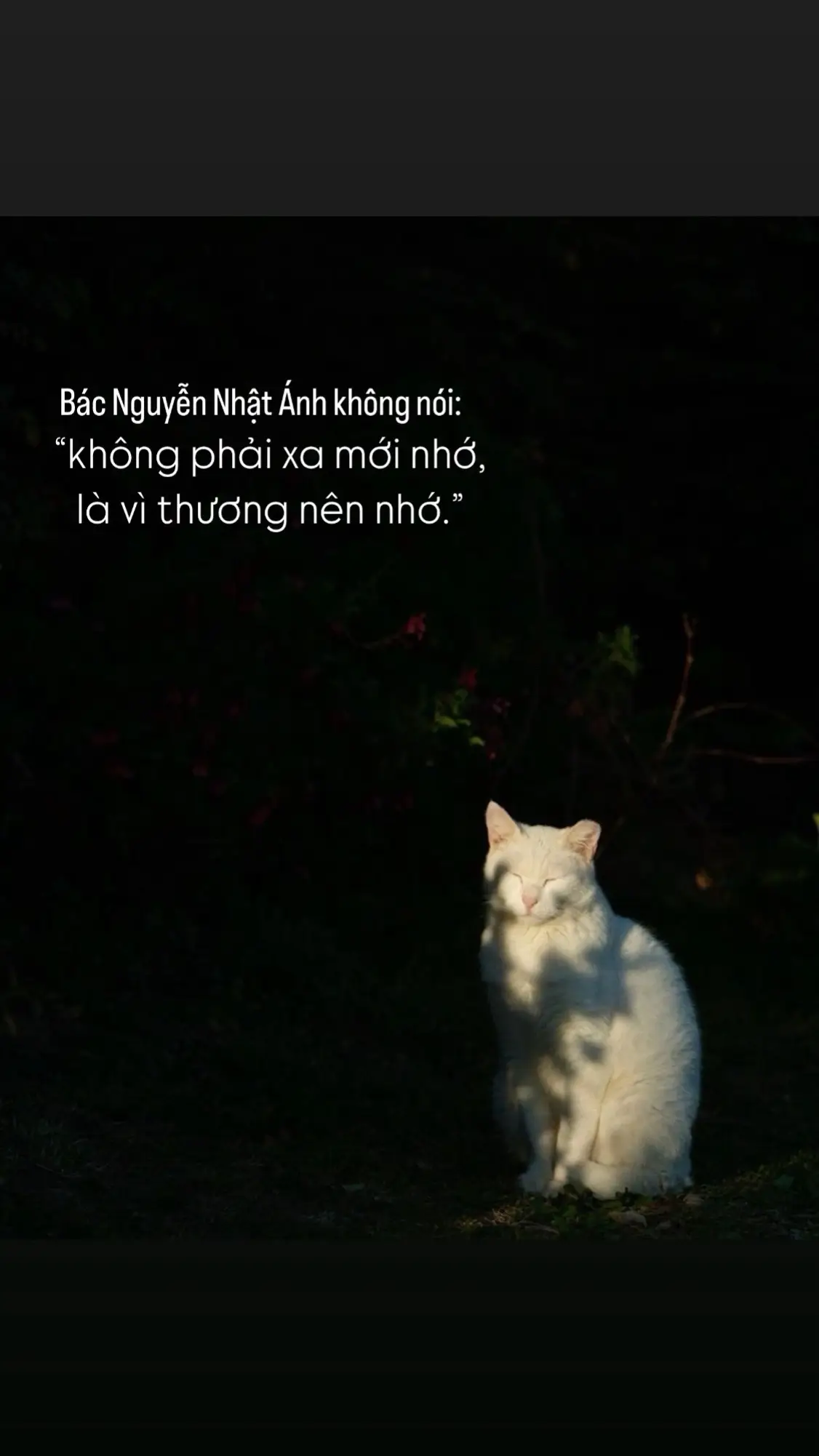 Không phải vì xa mới nhớ, mà vì thương nên mới nhớ… #nguyennhatanh 