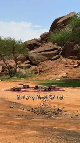 #اكسبلورexplore 