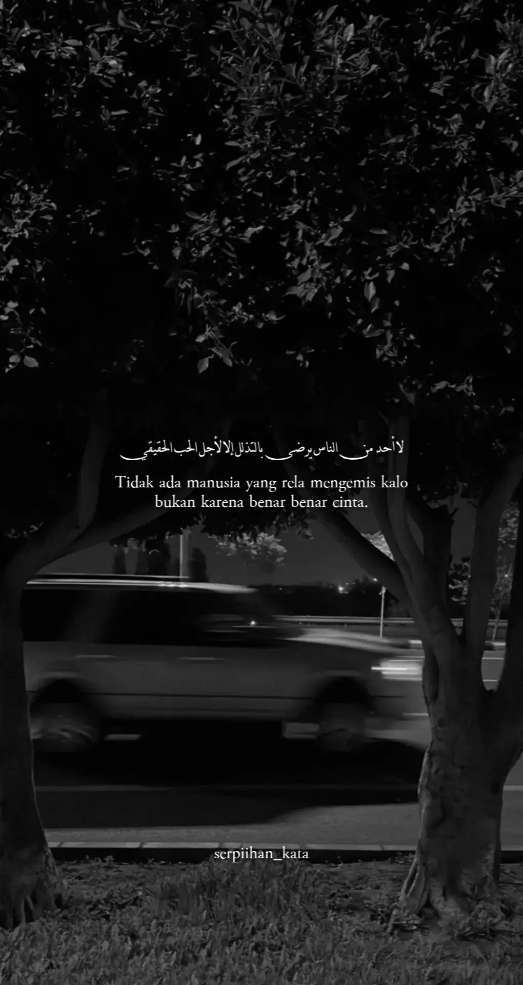 #quotesarabic #syairarab #syaircinta #fyp 
