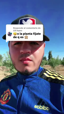 Respuesta a @Lili lopez Como son pues! 🤣😂 #parati 