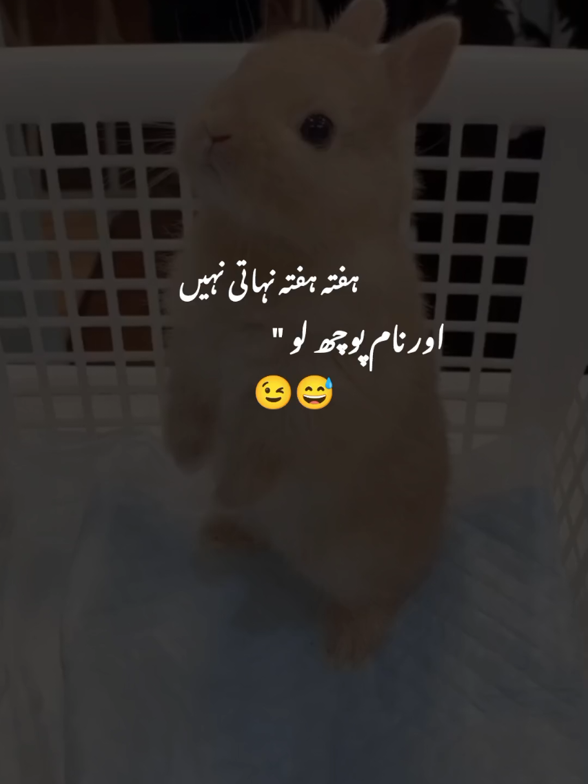 kiran k namr ke video  #fypシ゚viral #zainab_96 #foryoupage #unfrezzmyaccount #trendin #tiktok 