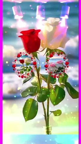 #ہـ٨ـــــ💔ــــہ🔑ہہـ٨ـــــــKہہـ💔🔐 