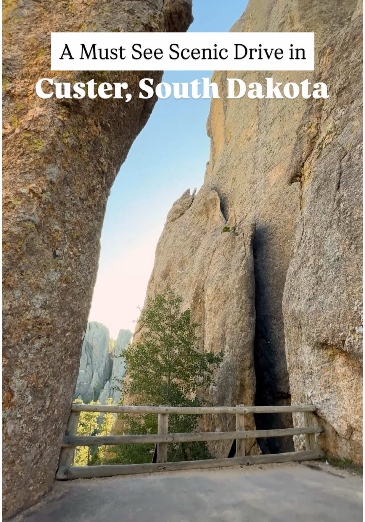 Just 90 minutes from Rapid City, South Dakota you’ll find the Needles Highway within Custer State Park. This scenic drive is famous for its towering rock spires, tight tunnels, and epic black hole views.  Entry is $20 for 7 day access and RVer’s beware that the clearance on the famous tunnel is just 8 ft wide and 9’9” tall. My van fit but it was tight!!  This drive is definitely worth the slow, winding ride if you’ll fit!  Custer State Park in Custer South Dakota | Things to do in South Dakota | Needles Highway #southdakota #custerstatepark #custersd #needleshighway 
