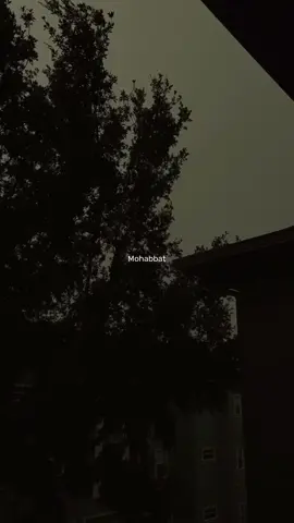 ✨ . . . . . . . #song #songs #songlyrics #songoftheday #songedit #lyrics #lyricsedit #lyricsvideo #trendingsong #songoftheday #rain #rainyday #rainyweather #thunderstorm #aesthetic #aestheticedits #trending #viral #foryou #foryoupage #fyp 