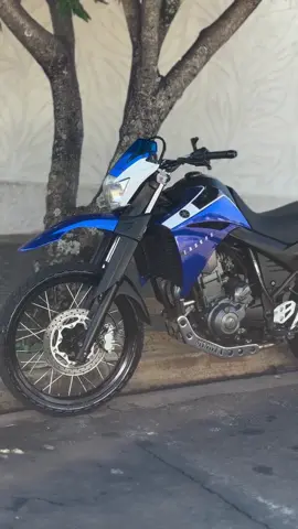 Essa tá no mel 🚀🍯😍 #xt660 #xt660r #xt660tratorzão #meiota #fyp #meiotão #yamahaxt660 #xt660dograu #yamaha 