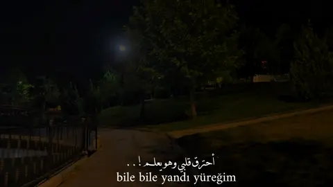 حترق قلبي وهو يعلم! bile bile yandı yüreğim#اغاني_تركية_مترجمة #اغاني #موسيقى #fyp #song #music #slowedsongs #تصوير #تصميم 