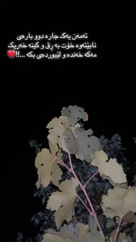 ❤️🫶