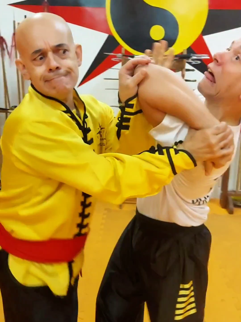 #tskf #kungfu #wushu #artemarcial #artesmarciais #defesapessoal #shaolin #chikung