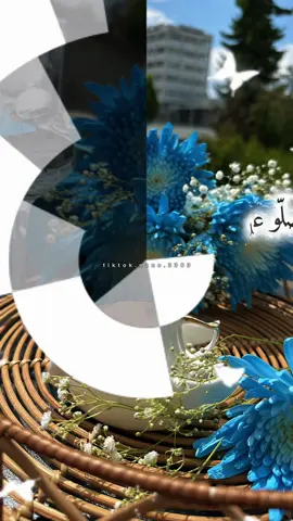 #صلوا_على_رسول_الله #اللهم_صل_وسلم_على_نبينا_محمد #يوم_الجمعه #جمعة_مباركة #ستوريات#اسلاميات#Love #flowers #storytime #coffee#muslim #لايك__explore___ #لحن_الروح🎻  @لحن الروح🎻  @لحن الروح🎻  @لحن الروح🎻 