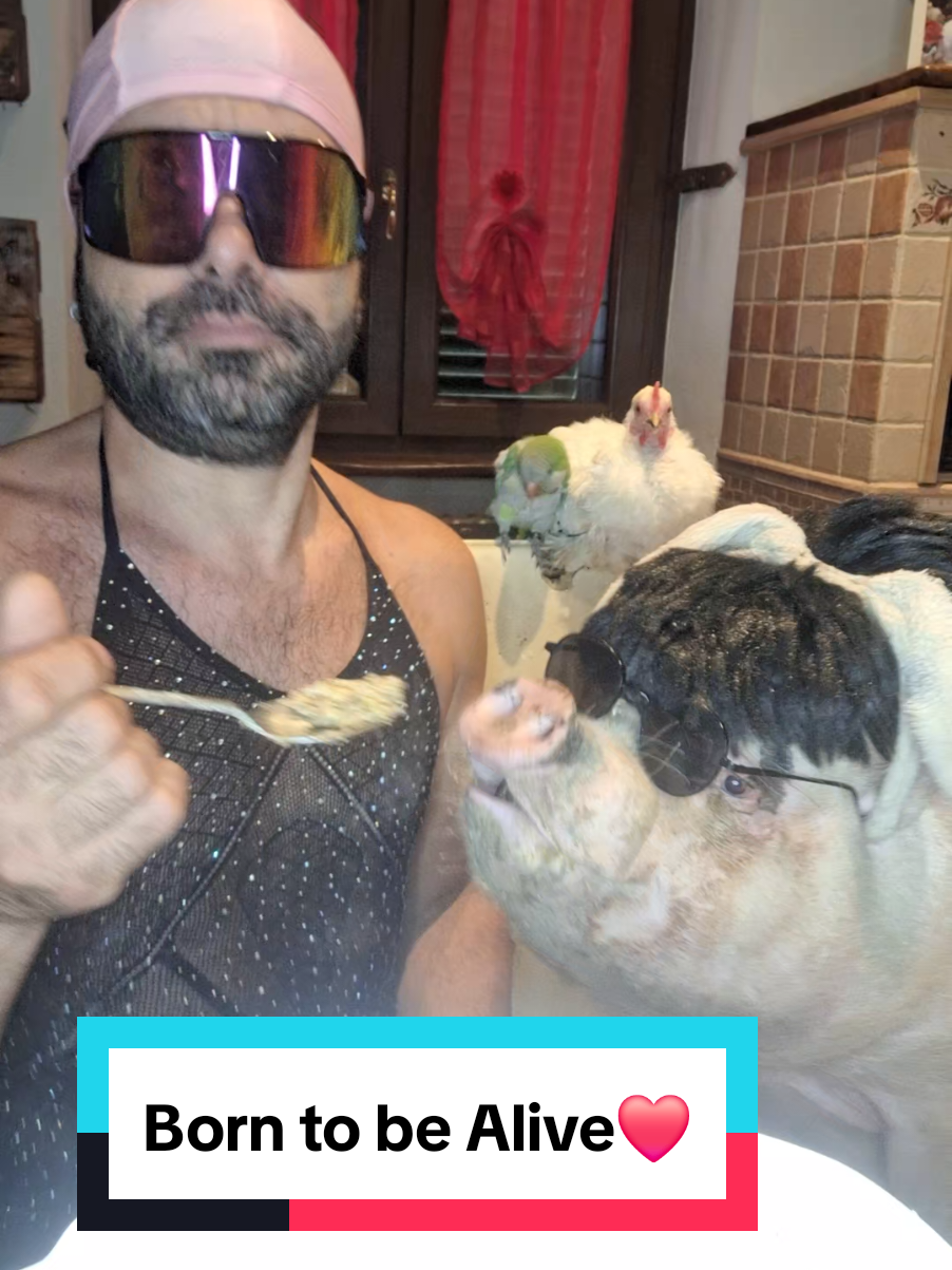 #funnyvideos #videodivertenti #comico #risate 