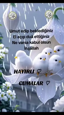 Hayırlı cumalar dilerim 🤗🌹🤗  #golgelerinlordu47 #mardin #2025 #reels__tiktok #reels #reelsinstagram #hayirlicumalar #hayirlicumalar🤲🏻🌺 #hayirlicumalar🤲🏻🌺duaile #hayırlıcumalar #cuma #cumamesajları #cumavideoları #cumanızmübarekolsun #cumamızmübarekolsun #cumamiz_mûbârek_olsun #dini #dinimizislam #dinimiz_islam571 #dinivideo #dinisözler #dinivideolar🍃 #islam #islamic_video #islamic #islamiyet #islamiyetindoguşu #istanbul #adana #mersin #izmir #antalya #gaziantep #şanliurfa #reels2025 