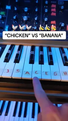 🐓 “CHICKEN” VS “BANANA” 🍌 #chicken #banana #vs #synthesizer #song #fyp #foryou 