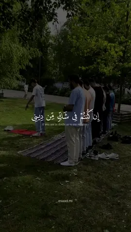 قُلْ يَا أَيُّهَا النَّاسُ إِن كُنتُمْ فِي شَكٍّ مِّن دِينِي #عبدالرحمن_مسعد #يونس  #راحة_نفسية🖤🎧 #عبدالرحمن_مسعد #راحة_نفسية🖤🎧 #راحة_نفسية🖤🎧 #عبدالرحمن_مسعد #عبدالرحمن_مسعد 