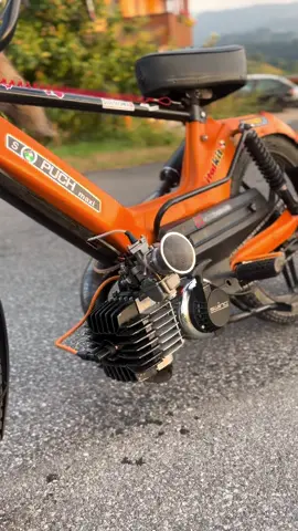 🦊 #italkit #acab #go_viral #fypシ゚ #Italmaxi #orangepuch #RHR #puchmaxi #orangefox #fox #swissmade🇨🇭 #AcAb       @Swing_bumseR @Ital_Brünu69🔱🏍️ 