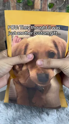 This is the best gift you can get for pet owners ❤️🐶 it’s a crystal ball with custom videos of your pets😍✨ #petgift #petlovers #videocrystalball 