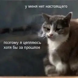 Либо за будущее 