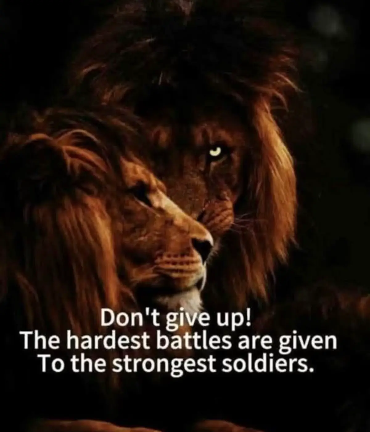 #inspirational #fyp #viral #trending #motivational #foryou#trending #foryourepage #motivationalvideo