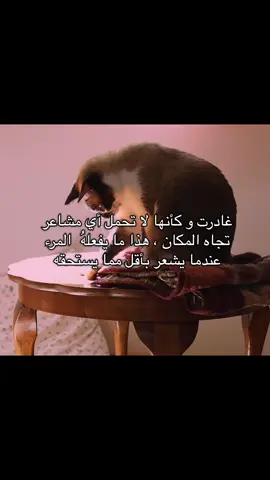 #عبارات #نصائح #الراحة #الراحة_النفسيه___ارح_سمعك #العلاقات #اكسبلور 