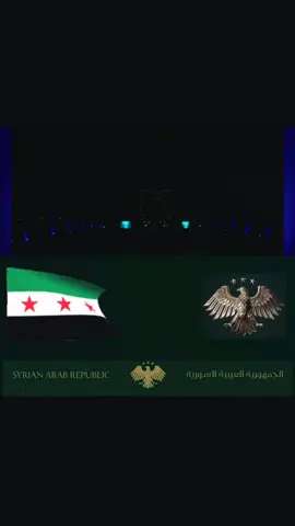 عرض فعالية #إشهار_الهوية_البصرية_السورية 💚#الجندي_المجهول #دمشق #احمد_الشرع_ #الجمهورية_العربية_السورية #حلب #ادلب #حماه #حمص #اللاذقيه #درعا #الرقه #ديرالزور #Syrian visual identity 