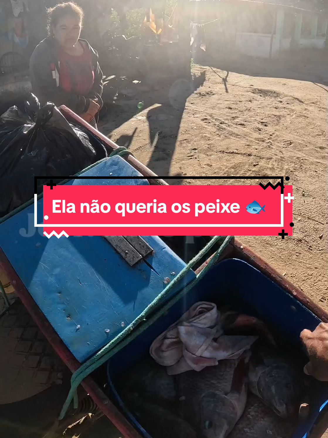 ela não queria o peixe #pexeiro #peixe #vendedor 