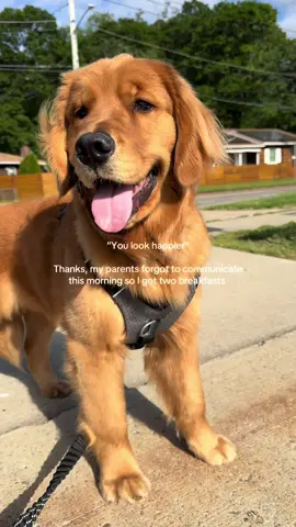 😄😄😄