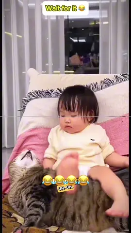 Try not to laugh😂😂😂 #voiceover #pet #catsoftiktok #dogsoftiktok #fouryou 