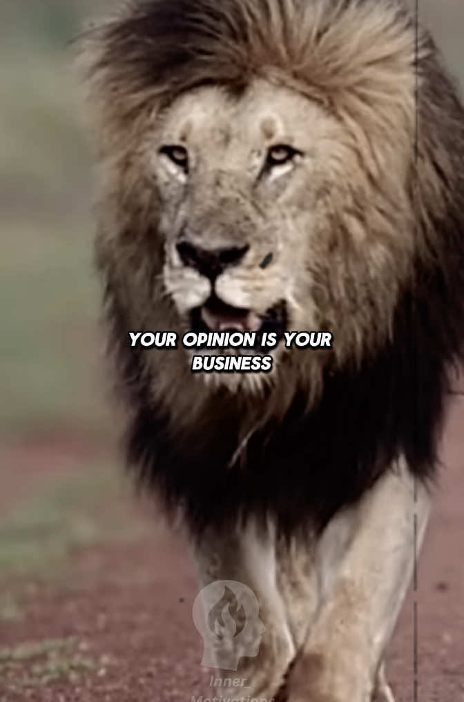 Your opinion is your business not mine #motivationtok #lifequote #LifeAdvice #motivationalclip #inspirations #inspirationalquote #motivationdaily #dailymotivations #lionmindset 