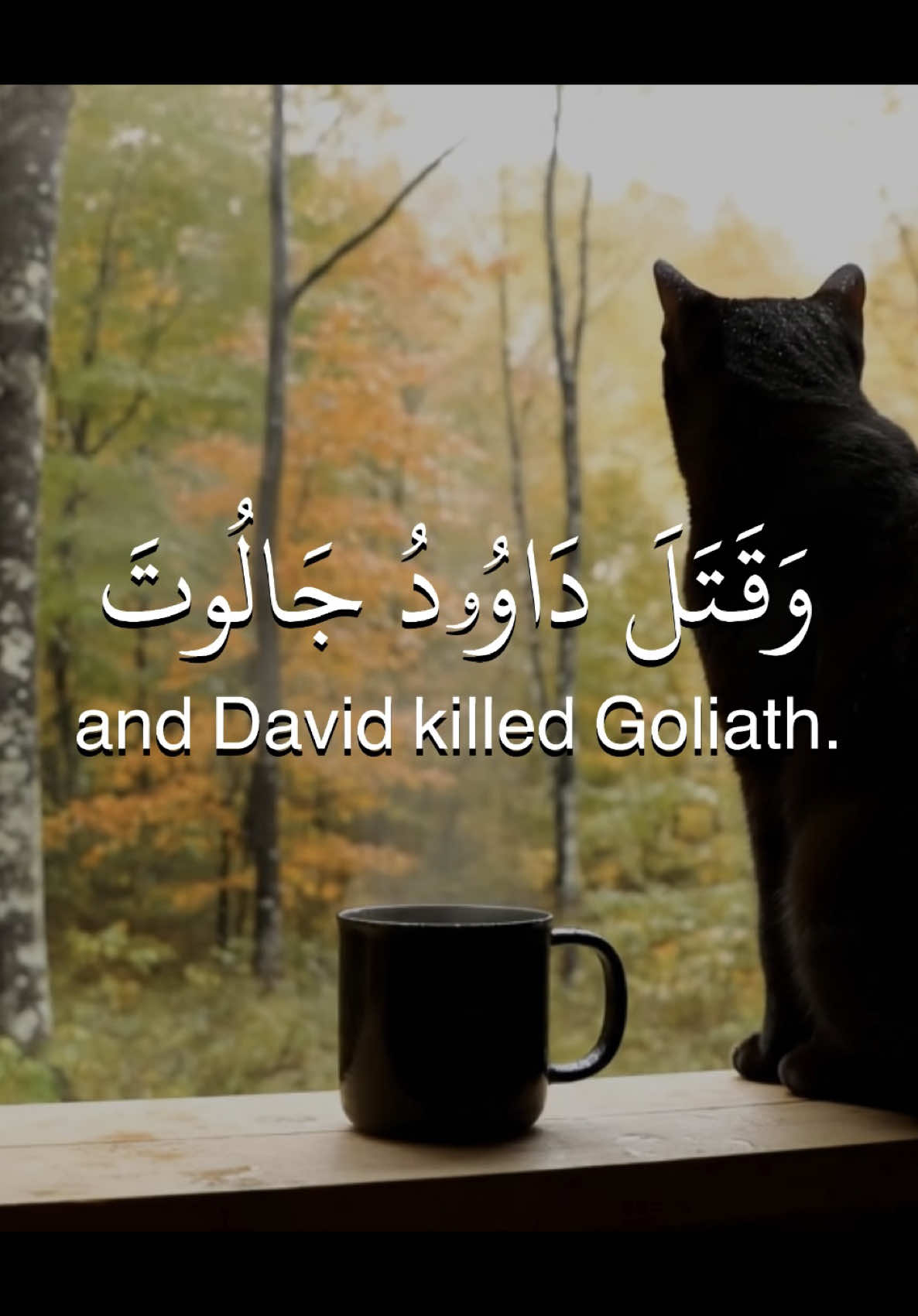 According to Israelite narrations, David killed Goliath with a sling in his hand, striking him with it and killing him. Saul had promised that whoever killed Goliath would marry his daughter, share in his wealth, and be given a share in his rule. He fulfilled that promise, and eventually kingship passed to David (peace be upon him), along with the great gift of prophethood. Surah Al-Baqarah verses 250-251 🎙️Reciter: Muhammad Siddiq Al Minshawi  #quran #quranrecitation #قران #قرآن #قران_كريم #تلاوة_خاشعة #تلاوة #المنشاوي #محمد_صديق_المنشاوي 