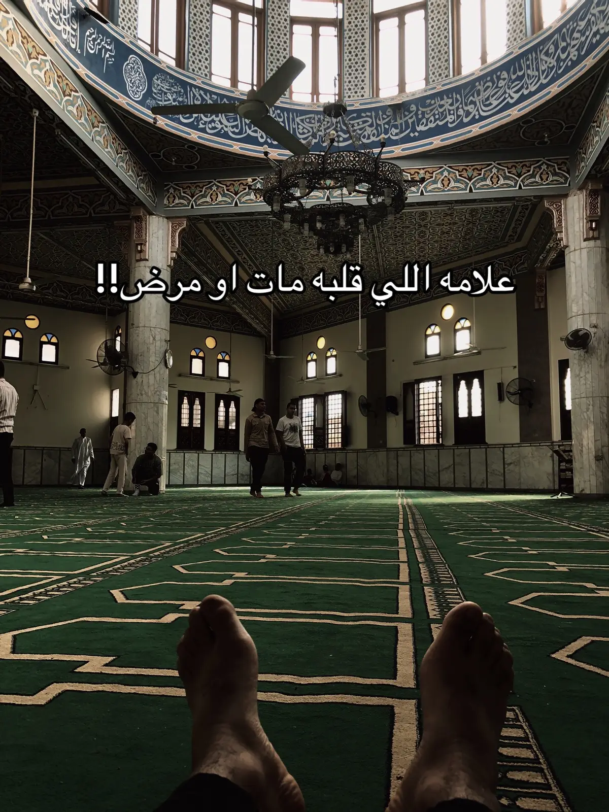 #الشيخ_سمير_مصطفي #صلوا_على_رسول_الله #اتقو_يوم_ترجعون_فيه_إلى_الله #الحمدلله_ع_نعمة_الاسلام #اللهم_صلي_على_نبينا_محمد #فلسطين #اللهم_صلي_على_نبينا_محمد 