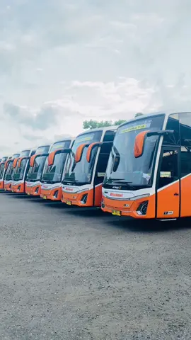 Rilis untuk line Bobotsari - Purbalingga - Purwokerto- bandara YIA - Jogja #busefisiensi #efisiensitransport #efisiensilovers #fyp #fypシ #fypシ゚viral #fypage #foryourpage #xyzbca #jangkauanluasfyp 