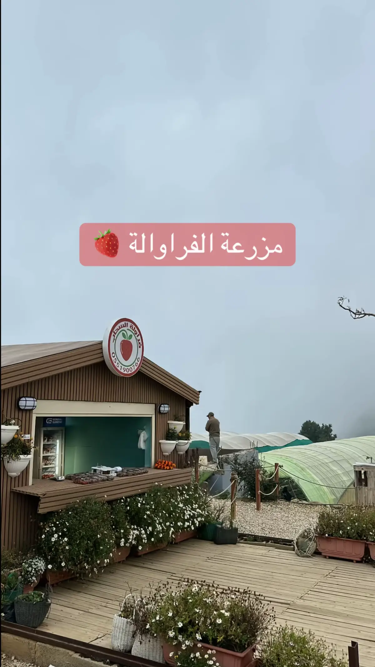 #ابها #ابها_الان #مزرعة_الفراولة #abha 