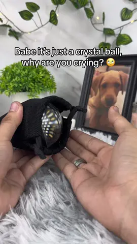 I’m not crying, I just can’t believe this gift my husband got me 🥹  - #petgift #petlamp #doglover #doggift 