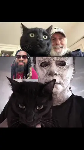 Michael Meowers 🤣#halloween #horror #horrortiktok #horrorfan #fyp #michaelmyersoftiktok #greenscreen 