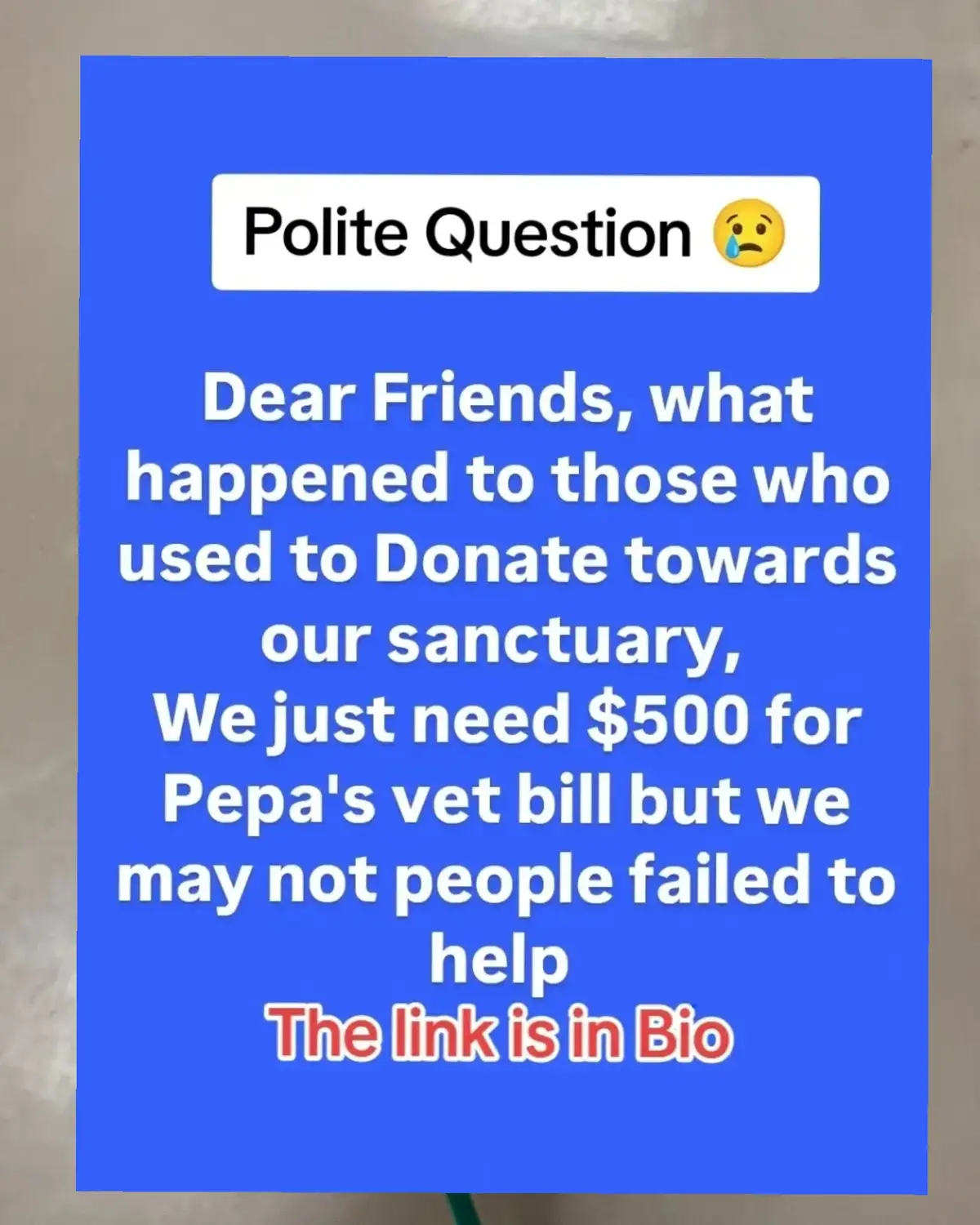 ways to donate 😭 PayPal link is in the bio  please donate anything you can  #fyp #foryou#vilar #govilar #foryoupage❤️❤️ #usa_tiktok #usadogsoftiktok #canada🇨🇦 #fyp #fyp #fyp #foryou 