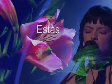 Me cansó llorando.. #themarias #fyp #scubavinyl #themariassubmarine #themariasconcert #noonenoticed #tatcha #xyzbca #music #viral #mariazardoya #themariashome #lamarias #puertorico #parati (ignore the text glitch 💔💔)