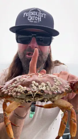 Barnacle Chronicles ASMR #asmr #friendliestcatch #barnaclechronicles 