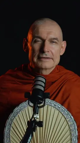 We spend our lives collecting what we can never keep. 🌿 #buddhism #philosophy #wisdom #life #lettinggo #mindfulness #foryou #foryoupage #fyp #viralvideo #viraltiktok #viral 