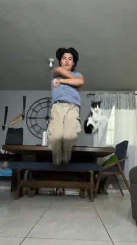 Ningún gato fue obligado a nada #everybodydotheflop #gato #gatochiflado #volamos #fav #trnd 
