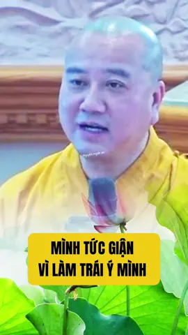 Mình tức giận vì làm trái ý mình #phatphapnhiemmau #thichphaphoa #nguyennguoiann 