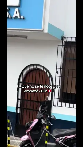 Amo su patriotismo...y es en serio!!! #viralvideos #abcxyz #chincha 