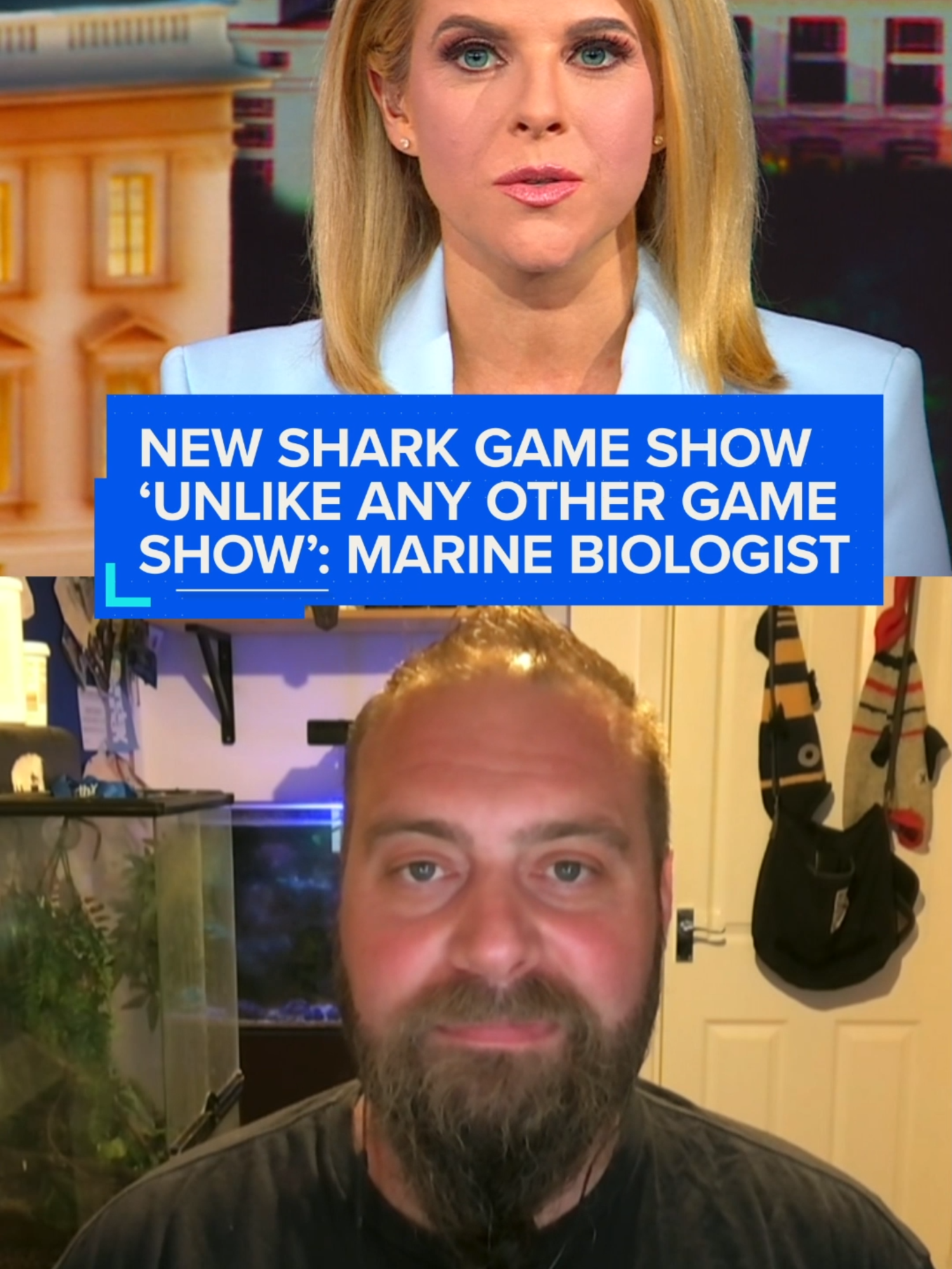 Marine biologist Tom 
