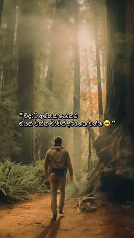 “ එදාට අමතක නොකර  ඔයත් එක්ක මාවත් අරගෙන එන්න 🥺  #foryoupage #plz #plz # #tiktok #team #plz #my #viralvide #foryoupage #plz #yasirshah #videoviral #fypシ #foryou #foryoupage #creatorsearchinsights 