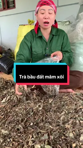 Trà bầu đất mâm xôi#baithuocdangian #hangthaoduoc #thinnhhanh #xuhuong #baithuochaymoingay #caybaudat 