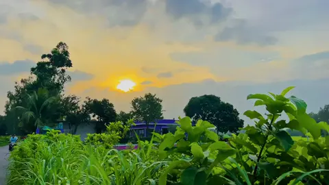 ❤️ #tiktok #furyou #প্রাকৃতিক_সুন্দর্য #প্রাকৃতিক #unfrezzmyaccount #fyupage #fypシ゚ 