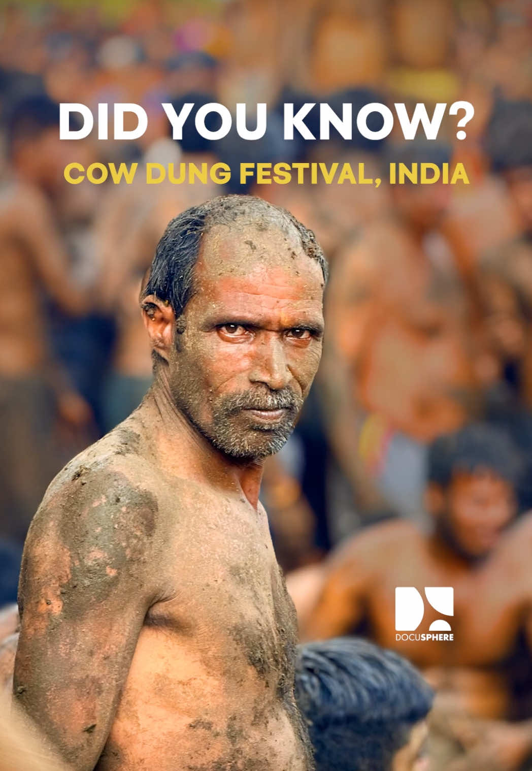 Welcome to India’s wildest festival — where cow dung turns into flying ammunition. #India #Karnataka #Cowdung #Festival #Gorehabba #OnlyInIndia 