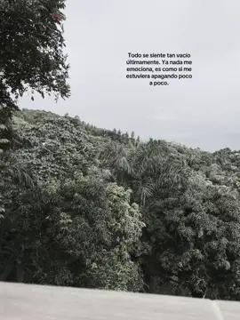 #paratii #flypシ #personal #👤 #ponmeenparati #viralvideo #viral #textonegro 